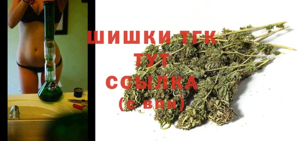 эйфоретик Майский