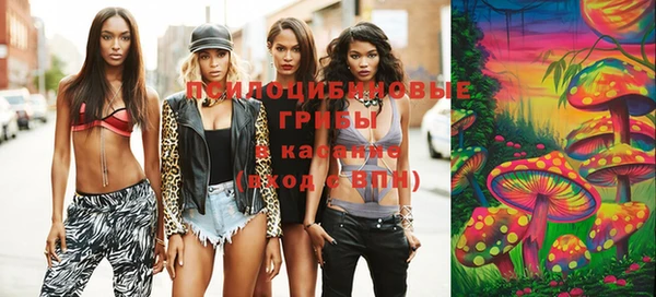 дурь Медвежьегорск