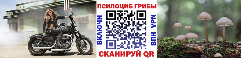 Псилоцибиновые грибы мухоморы  Купить  Правдинск 