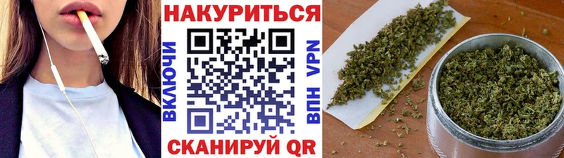Купить  Правдинск  Бошки Шишки сатива 